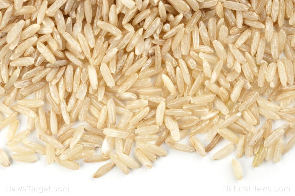 RICE Is the Latest Target of Climate Change Cultists and the Global War to Starve Populations to Death